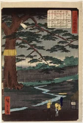 Sosna Miyuki (kolorowy drzeworyt)