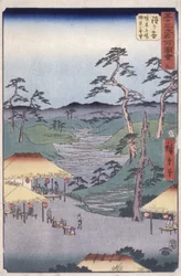 Stacja 5, Hodogaya (drzeworyt)