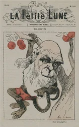 Darwin jako małpa na La Petite Lune