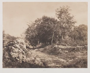Scena bez tytułu z Fontainbleau, c. 1853.
