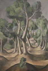 The Grove
