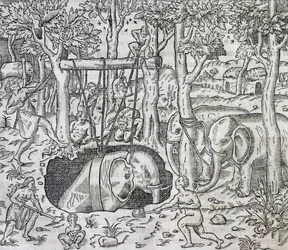 Polowanie na słonie na wyspie Jawa, rycina z Uniwersalnej kosmologii, Andre Thevet (1504-1592), Paryż