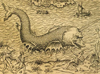 Potwór morski, rycina z Uniwersalnej kosmologii, Andre Thevet (1504-1592), Paryż