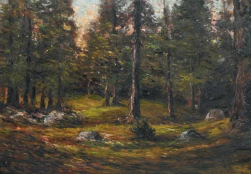 Andrea Tavernier Polana