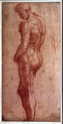 Studium aktu męskiego, rysunek sangwiną Andrei del Sarto (1480-1530). XVI wiek. Paryż, Muzeum Luwru