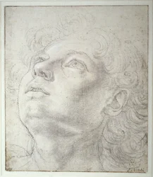 Głowa anioła