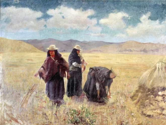 Żniwiarze