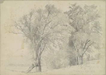 Wiązów, Hudson