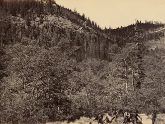 Płyta 19. Wśród drewna na czele rzeki Little Laramie, 1869 (zdjęcie)