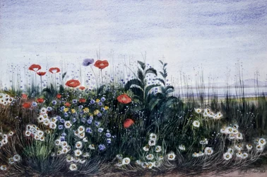 Kwiaty polne. Obraz autorstwa Andrew Nicholla (1804-1886) Kolekcja prywatna.