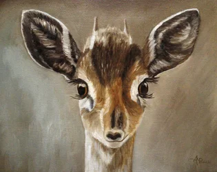 Urocze jelonki dik-dik