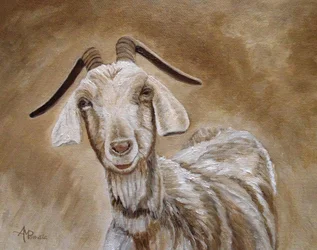 Portret uśmiechniętej kozy