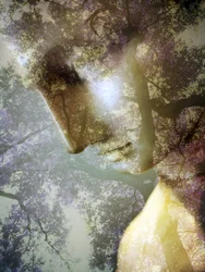 Profil Ethereal Forest