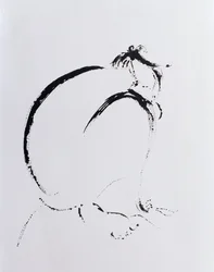 Złożony Nude Midnight, 2006