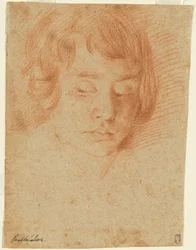 Głowa chłopca (Gennaro Falcone?)
