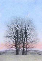 Księżyc w nowiu, 2011 (kolorowa kredka na papierze)