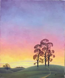 Ścieżka przez sosny, 2004