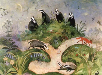 Nocne niebo, 2001 (akryl)