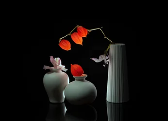 Elegancka martwa natura kwiatowa