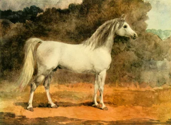 „Słynny ogier arabski”, ok. 1870, 1944.