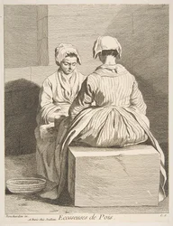 Łuskacze grochu, 1737.