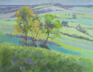 W kierunku Winchelsea w Sussex z Bluebells na wiosnę