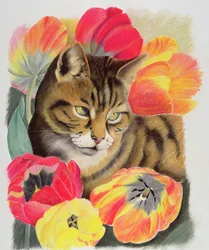 Paski i tulipan