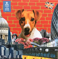 Jack Russel, 2015, Technika mieszana
