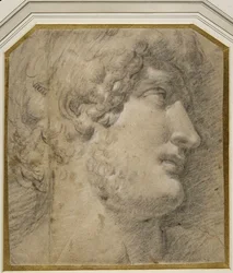 Głowa cesarza Gallienus (lub ?Hadrian), po antyku (czarna kreda na kremowym papierze)