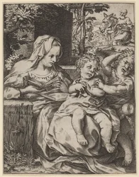 Madonna Jaskółki