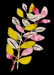 Różowo-żółty kolaż botaniczny