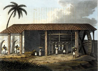 Brazylia, cukrownia - w „Starodawnym i współczesnym stroju” 1819 - 1820 autorstwa dr. Julesa Ferrario, red. Mediolan.