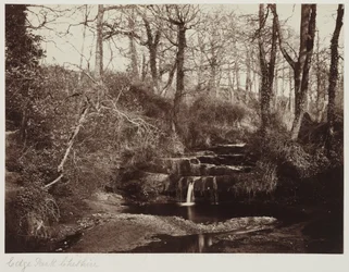 Edge Park, Cheshire, ok. 1865 r. (odbitka albuminowa ze szklanego negatywu)