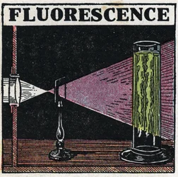 Fluorescencja: dowód fluorescencji ciał. Anonimowa ilustracja z 1925 r. Ze zbiorów prywatnych.
