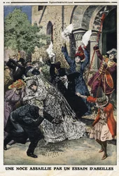 Wesele zostało zaatakowane przez rój pszczół. Grawerowanie w „Le Petite Journal”, 28.07.1912 r. Prywatna kolekcja.