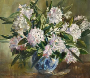 Rododendrony, bladobiałe i różowe