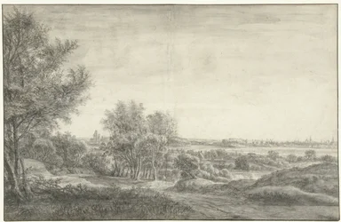 Widok z wydm Haarlem z ruinami Domu w Kleve