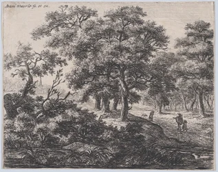 Cztery Drzewa, XVII wiek.