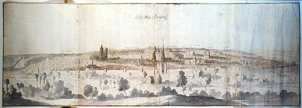Panoramiczny widok na Brukselę