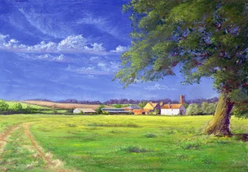 Domowe pole, 2004