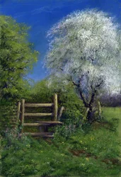 Wiosna przy Stile, 2013 (pastel na papierze)