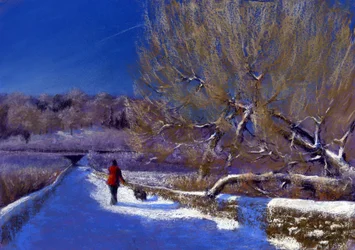 Zimowy spacer, 2012