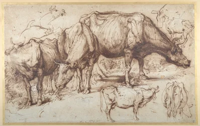 Bydło na pastwisku, ok.1618-20 (pióro i atrament z praniem na papierze)