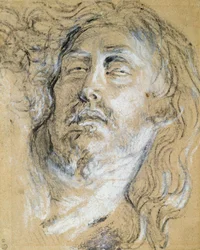 Głowa zmarłego Chrystusa (węgiel i kreda na papierze)