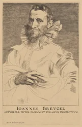 Portret Jana Bruegla starszego
