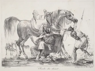 Arab pustynny (Arab pustynny)
