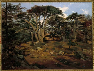 Stare cedry na górze Liban w Boumana Obraz Antoine Alphonse Montfort (1802-1884) XIX w. Słońce. 0,32x0,44 m Paryż, Muzeum Orsay