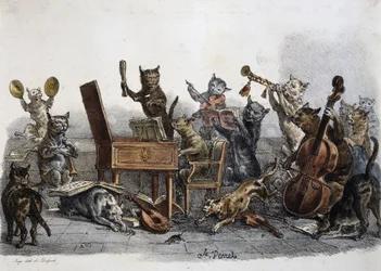 Koncert amatorski, karykatura kotów grających na instrumentach muzycznych, rycina Carle Vernet (1758-1836), Francja
