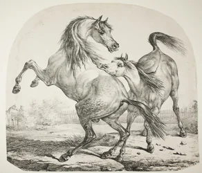 Walka dzikich koni, ok. 1820 r.