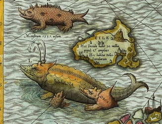 Fragment mapy morza (Marina Carta) autorstwa Olausa Magnusa (1490-1557)